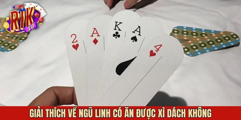 Giải đáp ngũ linh có ăn được xì dách không tại Rikvip