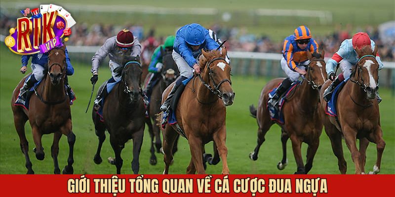 Giới thiệu chung về đua ngựa tại Rikvip