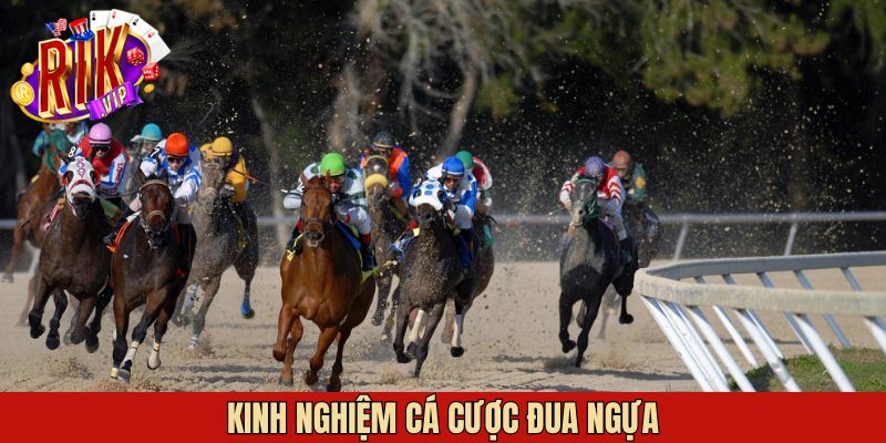 Bí quyết tăng tỷ lệ thắng khi tham gia cá cược
