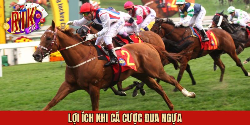 Lợi ích khi tham gia cá cược trên Rikvip
