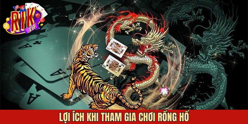 Điểm nổi bật khi tham gia Dragon Tiger trên Rikvip