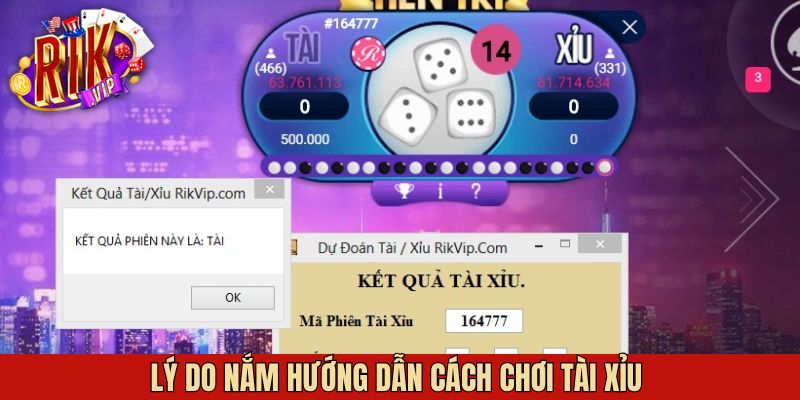 Tầm quan trọng của hướng dẫn cách chơi tài xỉu