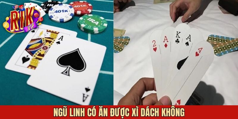 Ngũ Linh Có Ăn Được Xì Dách Không - Giải Đáp Từ Rikvip