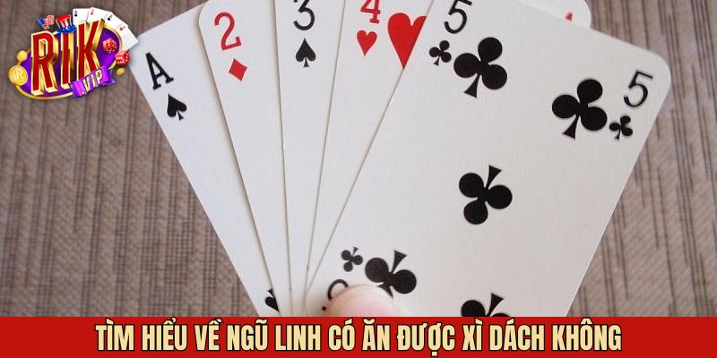 Tìm hiểu ngũ linh là như thế nào trong xì dách