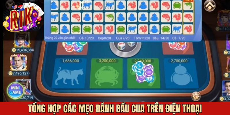 Mẹo đánh bầu cua trên điện thoại nên áp dụng