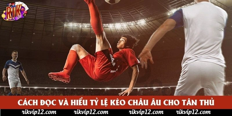 Cách đọc và hiểu tỷ lệ kèo châu Âu cho tân thủ Cách đọc và hiểu tỷ lệ kèo châu Âu cho tân thủ