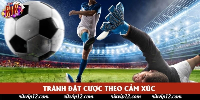 Tránh đặt cược theo cảm xúc Tránh đặt cược theo cảm xúc