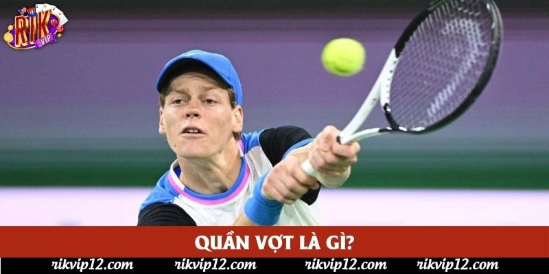Quần vợt là gì?